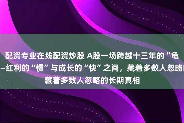 配资专业在线配资炒股 A股一场跨越十三年的“龟兔赛跑” ——红利的“慢”与成长的“快”之间,藏着多数人忽略的长期真相
